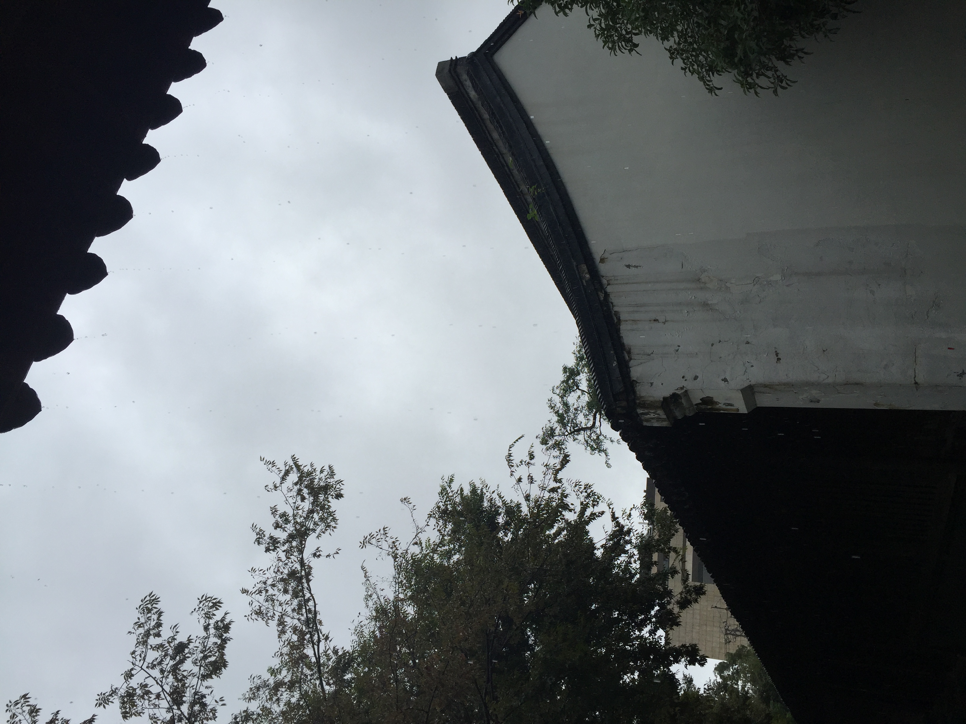 IMG_2743.jpeg